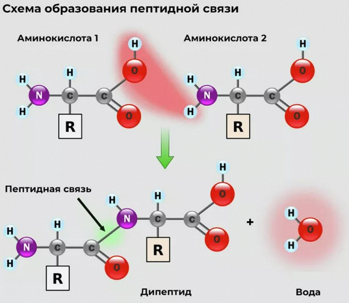 Учёные опровергли основную теорию зарождения жизни. Она зародилась не в воде